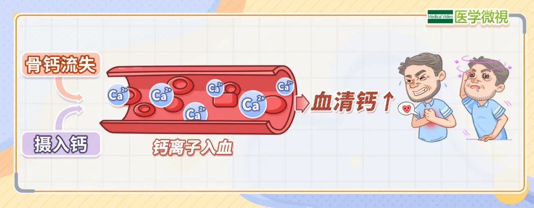 补钙的新知识（补钙知识科普）-硒宝网