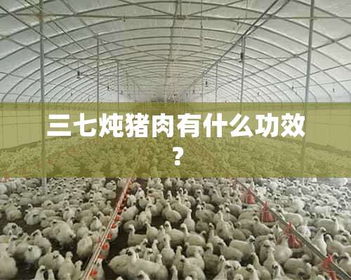 母猪补硒怎么补(母猪补硒补多少)-硒宝网