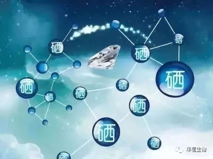 化疗补硒补多少(化疗补硒吃什么药)-硒宝网