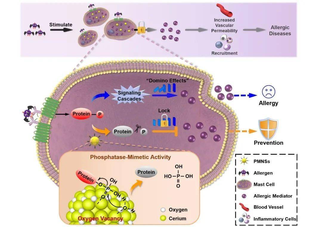 补硒和补igg（补硒的作用与功效）-硒宝网
