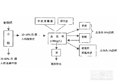 补锌补硒补蛋白(补蛋白补锌硒有用吗)-硒宝网