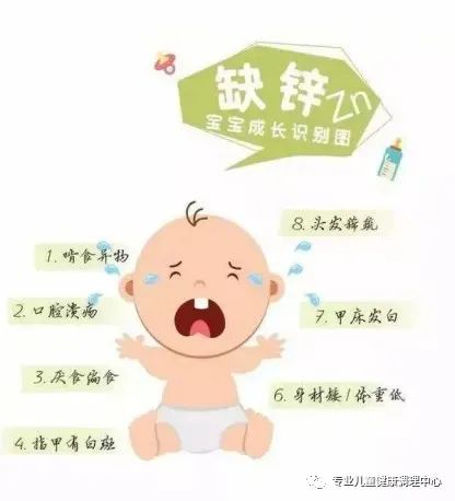 吃什么东西补锌(补锌爱吃饭)-硒宝网