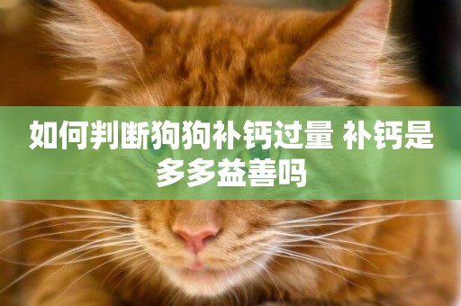 补钙过多的症状(补钙过度的症状)-硒宝网