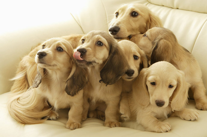 补钙过多的症状(补钙过度的症状)-硒宝网