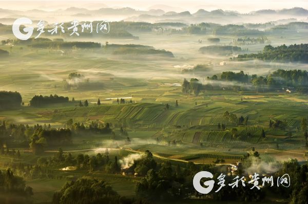 高州锌硒茶补硒（锌硒茶的骗局）-硒宝网