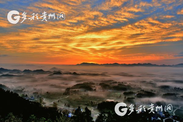 高州锌硒茶补硒（锌硒茶的骗局）-硒宝网