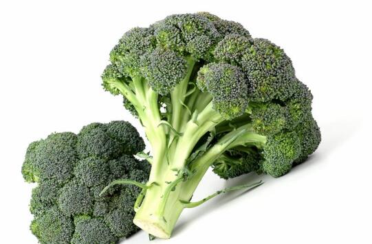 含硒补硒的食物（含硒补品）-硒宝网