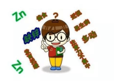 补锌可以长高吗(补锌长个子)-硒宝网