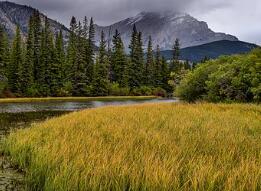 为什么晒太阳可以补钙(晒补钙太阳可以美白吗)-硒宝网