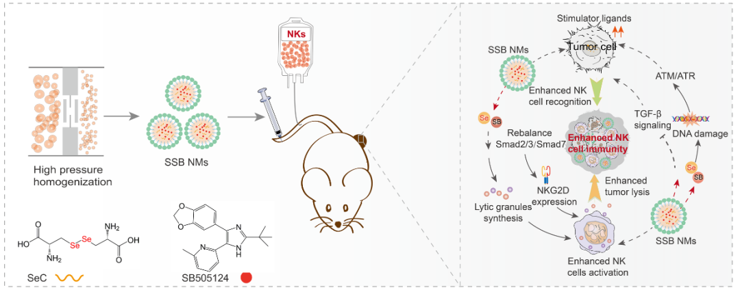 亚硒酸钠补硒吗(亚酸硒纳)-硒宝网