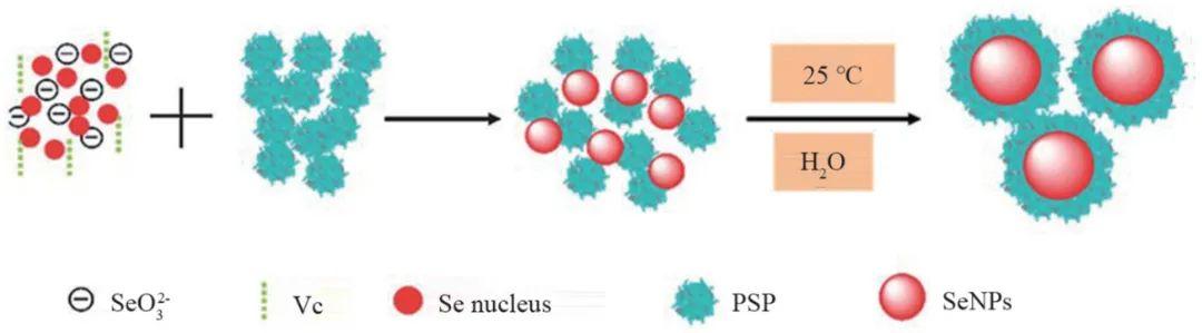 亚硒酸钠补硒吗(亚酸硒纳)-硒宝网