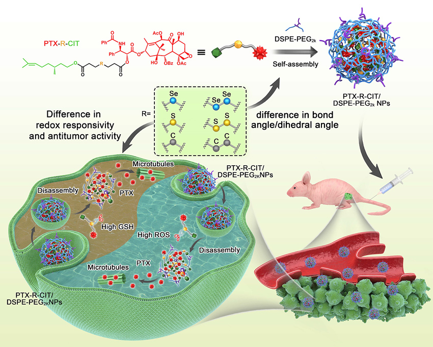 亚硒酸钠补硒吗(亚酸硒纳)-硒宝网
