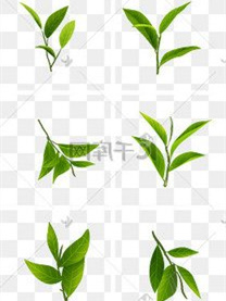 益阳锌硒茶补硒(硒锌茶是什么茶)-硒宝网