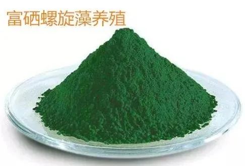 补硒99%吸收(硒的吸收率是多少)-硒宝网