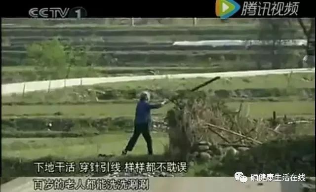 补硒99%吸收（硒吸收过多）-硒宝网