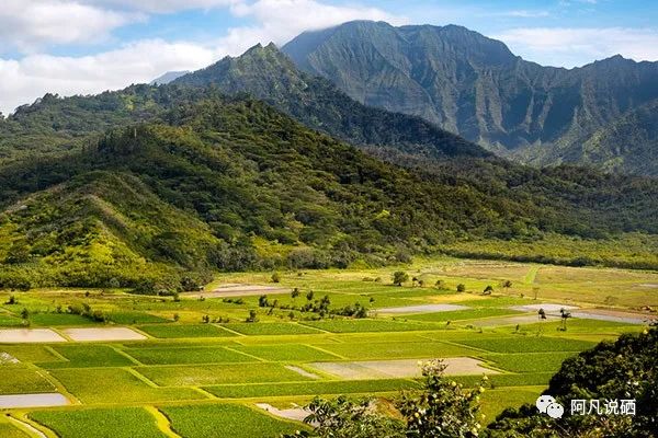 补硒99%吸收（硒吸收）-硒宝网