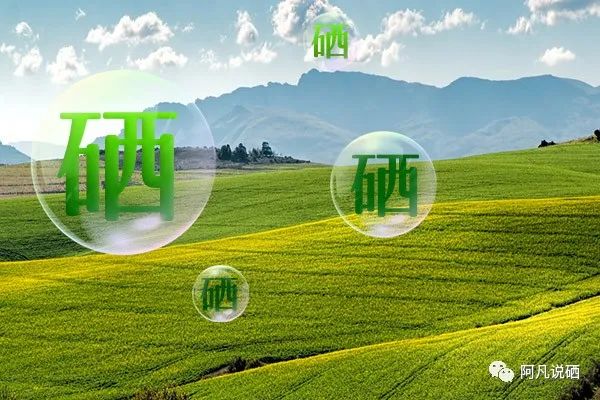 补硒99%吸收（硒吸收）-硒宝网