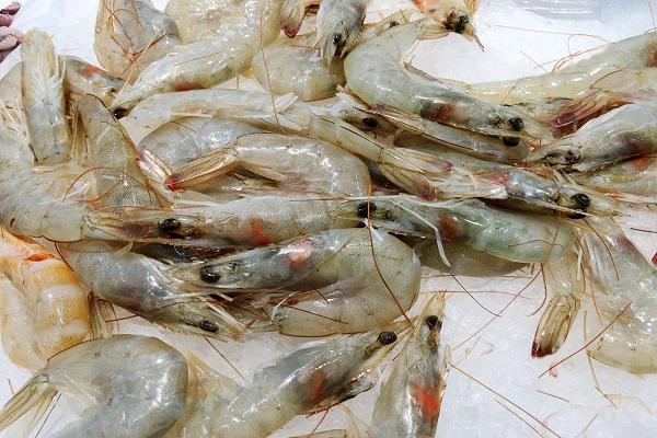 老人缺钠吃什么补得最快（钠缺补老人吃得多怎么办）-硒宝网