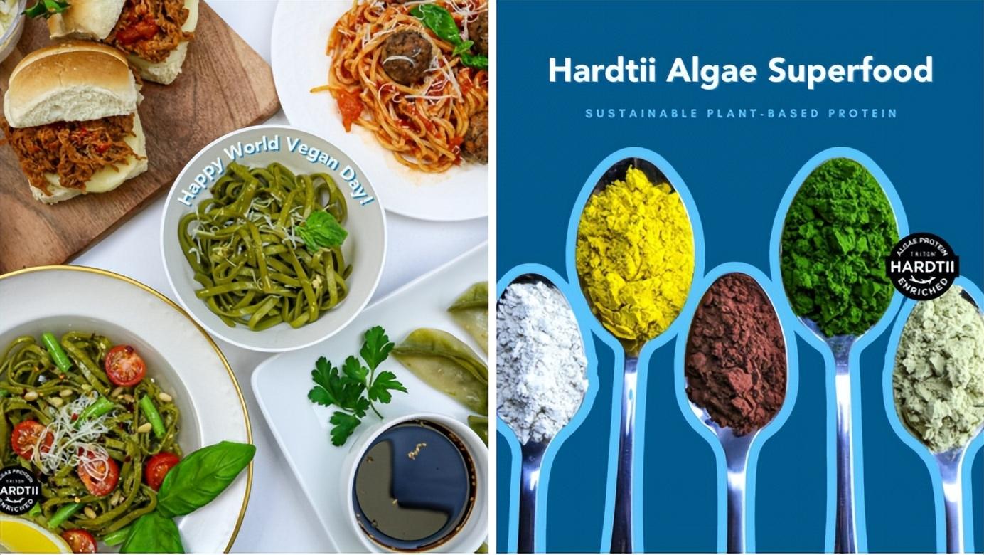 硒藻片能补硒吗(cellenium藻硒)-硒宝网