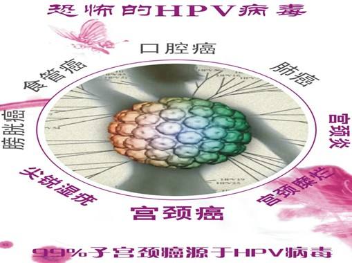 hiv补硒多少（补硒的作用与功效）-硒宝网