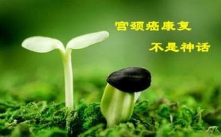hiv补硒多少（补硒的作用与功效）-硒宝网