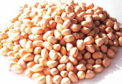 一年补锌最好的季节(一年四季哪个季节补锌效果最好)-硒宝网