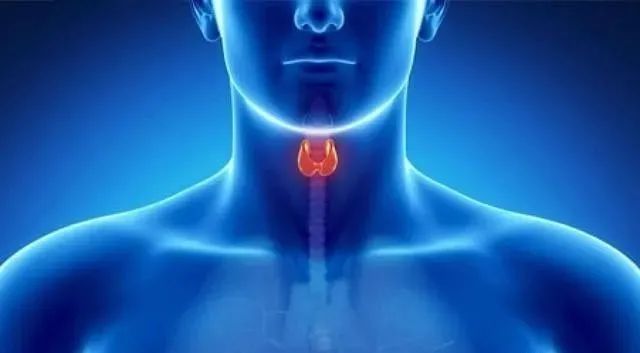 甲状腺补硒视频(补硒对甲状腺有好处吗)-硒宝网