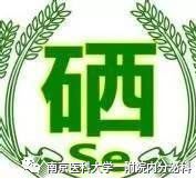 甲状腺桥本补硒（桥本氏甲状腺每天补多少硒）-硒宝网