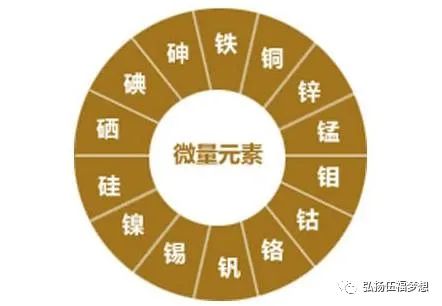 白癜风需要补硒(白癜风需要补硒)-硒宝网