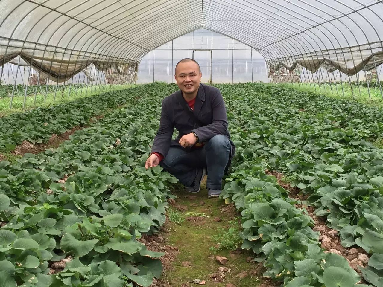 补硒 如何选择（硒补充剂有哪些）-硒宝网