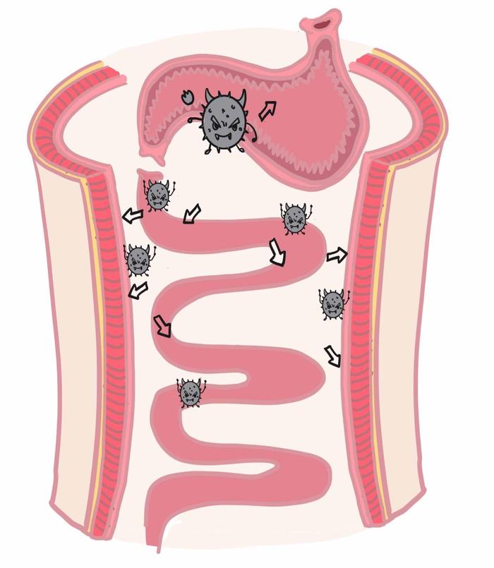 胃癌晚期 补硒（晚期补胃癌硒有用吗）-硒宝网
