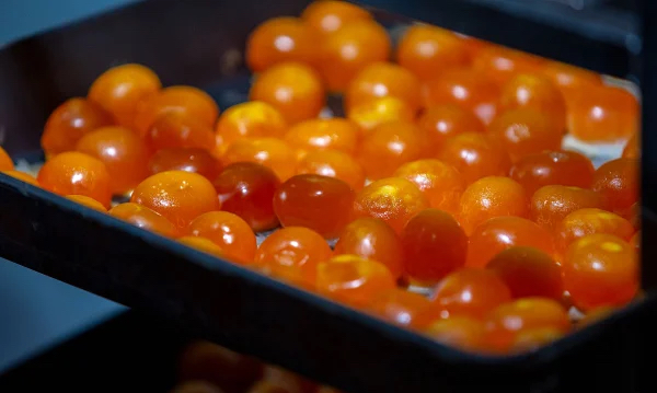 富硒蛋能补硒吗（鸡蛋补硒）-硒宝网