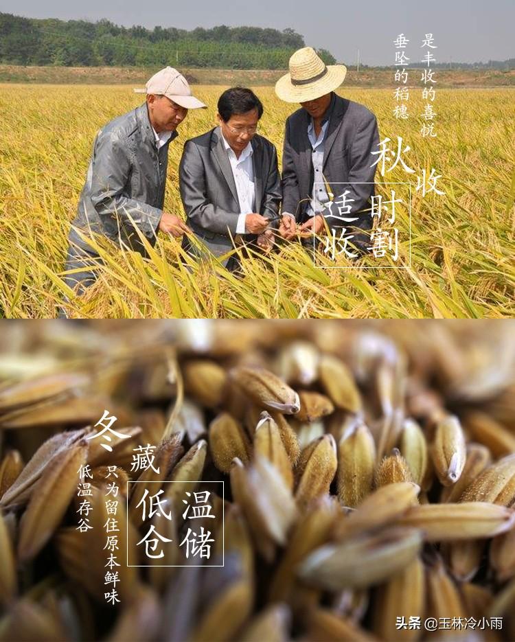 富硒康能补硒吗（富硒康能吃吗）-硒宝网