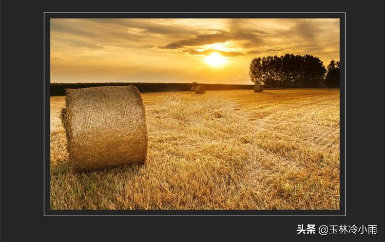 富硒康能补硒吗（富硒康能吃吗）-硒宝网