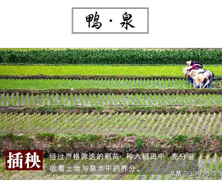 富硒康能补硒吗（富硒康能吃吗）-硒宝网