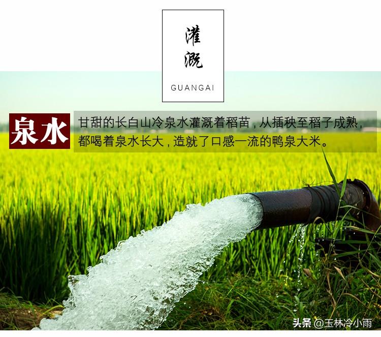 富硒康能补硒吗（富硒康能吃吗）-硒宝网