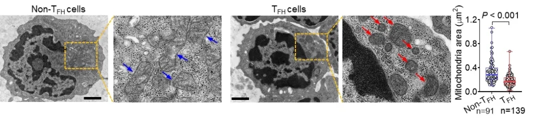迈阿密补硒实验（全民补硒）-硒宝网