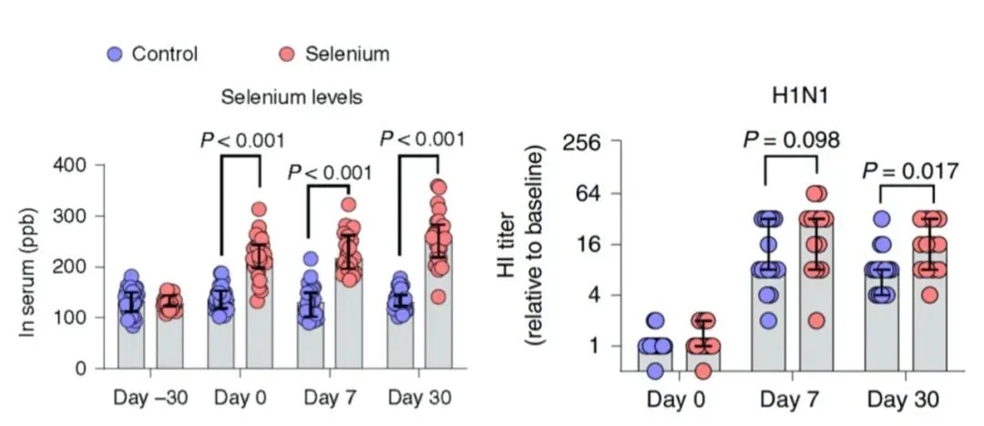 迈阿密补硒实验（全民补硒）-硒宝网