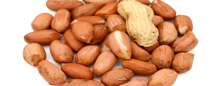 花生补钙吗(花生补钙么)-硒宝网