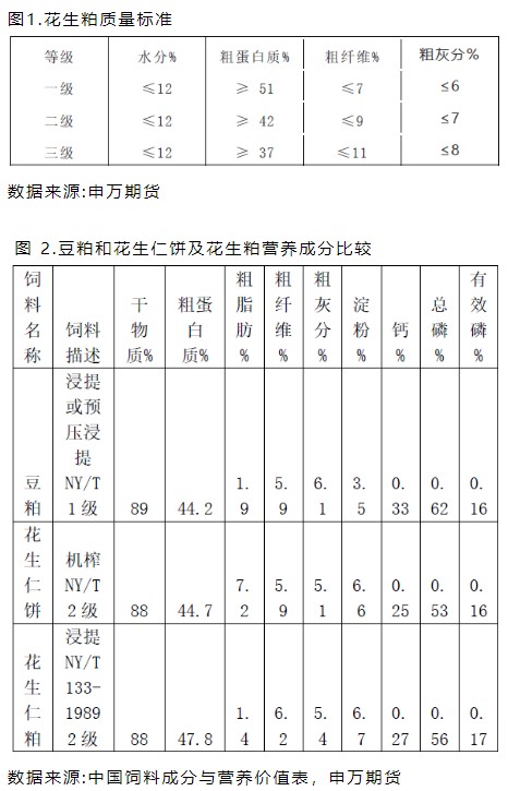 花生补钙吗(花生补钙么)-硒宝网