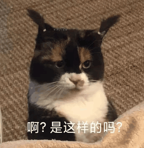 补铁有什么用(补铁的铁)-硒宝网