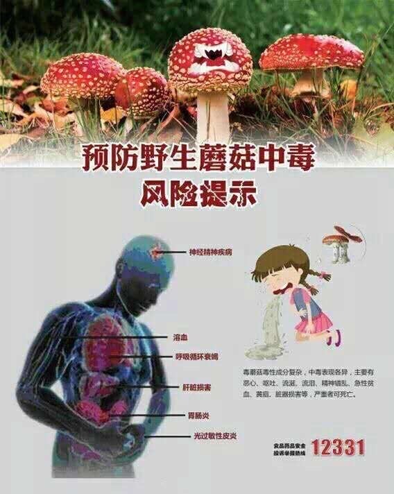 男生hpv补硒（男生补硒的作用）-硒宝网