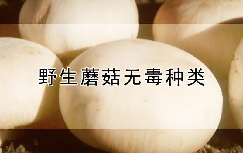 男生hpv补硒（男生补硒的作用）-硒宝网