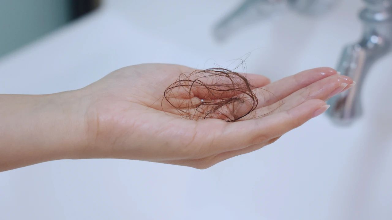 补铁可以防止掉头发吗（掉头发防止补铁可以改善吗）-硒宝网