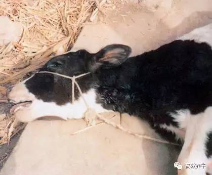 补硒 乙肝论坛(乙肝补硒)-硒宝网