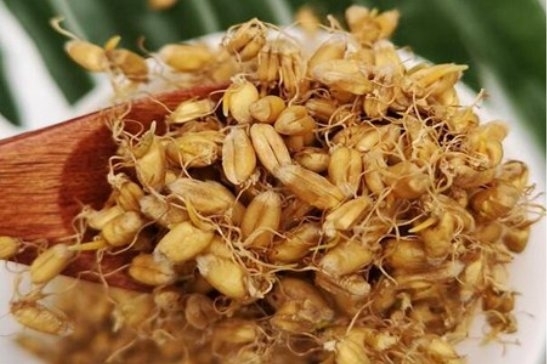 科学补硒 补充(科学补硒的作用)-硒宝网