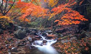 补锌有什么用(补锌有用么)-硒宝网