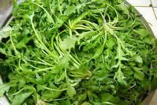 西红柿补硒行吗(富硒西红柿)-硒宝网