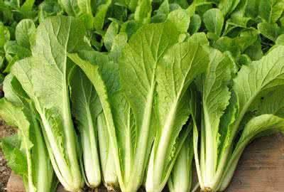 西红柿补硒行吗(富硒西红柿)-硒宝网