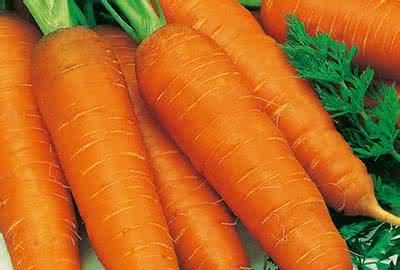 西红柿补硒行吗(富硒西红柿)-硒宝网